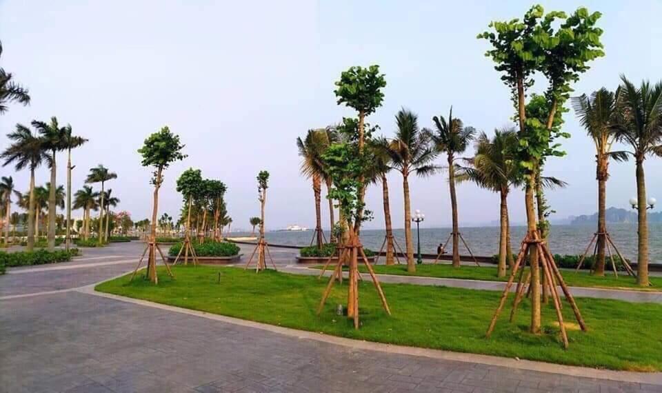Sonny Homestay 2 -Can Lien Ke 5Pn -Khu Greenbayvillage - Duong Hoang Quoc Viet -Trung Tam Kdl Bai Chay Ha Long Exteriör bild